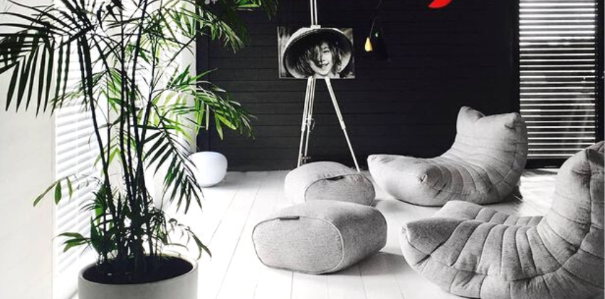 acoustic sofa in a living room setting